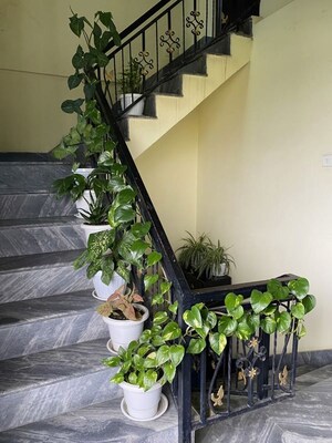  Pg For Rent in Vibhuti Khand