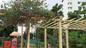  Apartment – Exterior View View at Venkatapura - for Sale