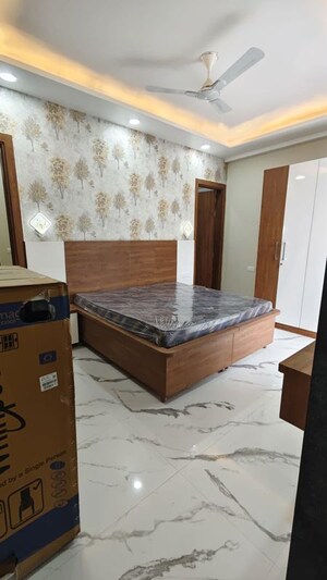 1 BHK Builder Floor For Rent in Sector 38