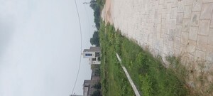 Plot Area in  Plot at Dhanauli – for Sale