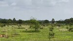 10 Acre Plot in Srisailam Town