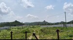 16 Acre Plot in Srisailam Town