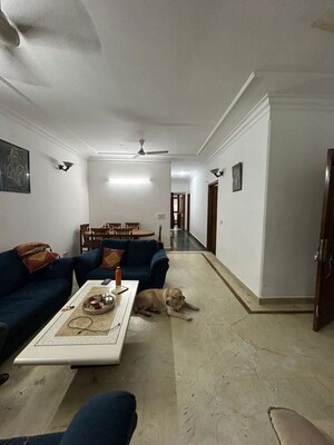 Living Room in 3 BHK Builder Floor at Chittaranjan Park – for Sale