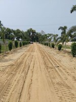 100 Sq.Yd. Plot in Haddi Mill