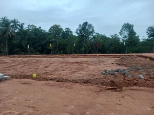  Plot For Sale in Kothavalasa