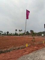 145 Sq.Yd. Plot in Thummapala