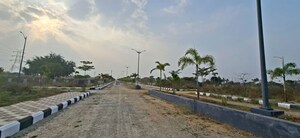 Plot Area in  Plot at Mangalpalle – for Sale