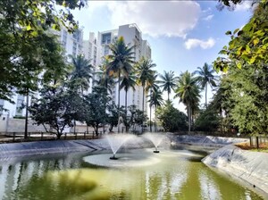 Swimming Pool in 1 BHK Apartment at Rohan Upavan Phase 2, Hennur – for Rent