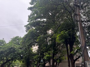  Plot For Sale in Dlf Phase I