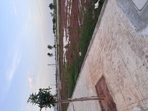   Plot at Nepalle – for Sale