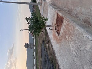   Plot at Nepalle – for Sale