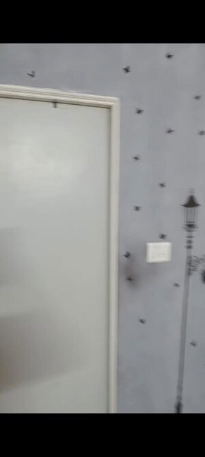 Furnished Amenities in 2 BHK Apartment at Kumar Palmcrest, Pisoli – for Rent