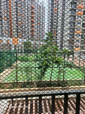 1 BHK Apartment – Exterior View View at Shapoorji Pallonji Joyville, Virar West - for Rent