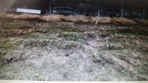  Plot For Sale in Nandi Hills