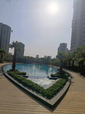 Swimming Pool in 4 BHK Villa at Sobha International City Phase 1, Sector 109 – for Rent