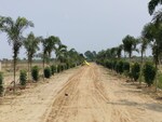 100 Sq.Yd. Plot in Pilkhuwa