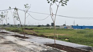 Plot Area in  Plot at Sumthana – for Sale