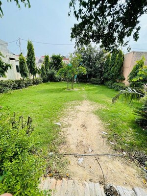  Plot – Garden View at Palm Green, Bhanauta - for Sale