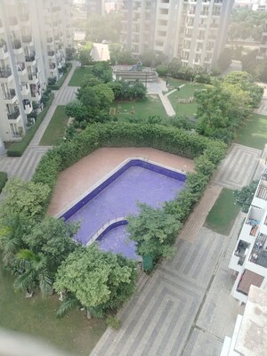 2 BHK Apartment For Rent in Mapsko Paradise, Sector 83