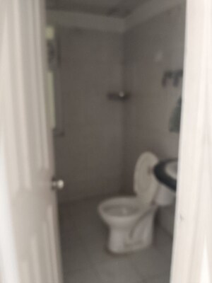 Bathroom in 2 BHK Apartment at Mapsko Paradise, Sector 83 – for Rent