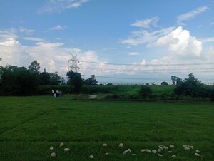 Plot Area in  Plot at Kalyanpur – for Sale