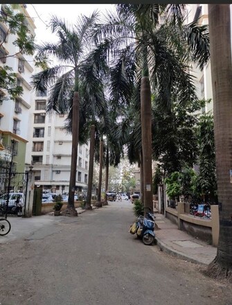 2 BHK + Basement 710 Sq.Ft. Apartment in Velentine Tower