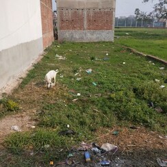 Plot For Sale in Kurthoul