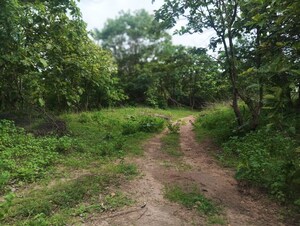 Plot Area in  Land at Mayfair Villas Tellapur, Tellapur – for Rent