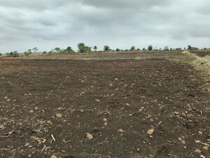 Plot Area in  Land at Mayfair Villas Tellapur, Tellapur – for Rent