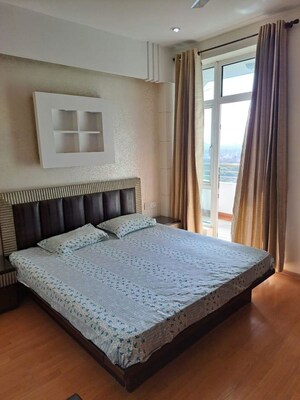 3 BHK Builder Floor For Rent in Sector 22