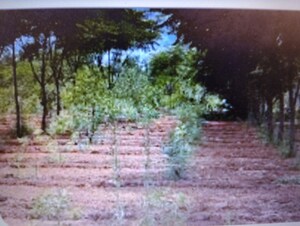  Plot For Sale in Hebbal