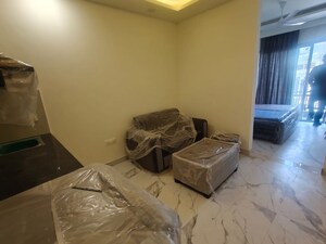 Living Room in 1 BHK Builder Floor at Sector 39 – for Rent