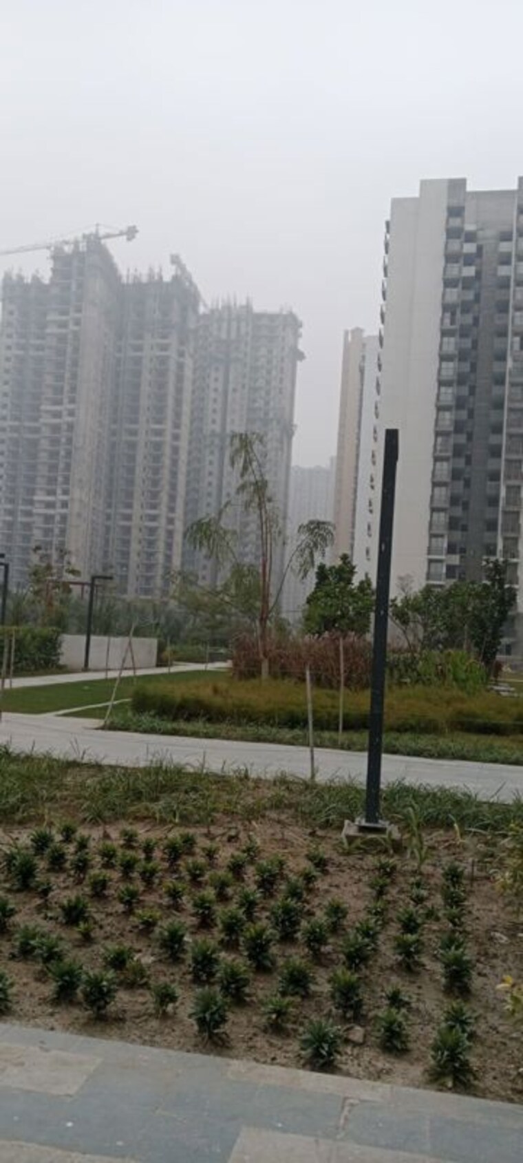 Exterior View, godrej-nest 3 Bedroom 1548 Sq.Ft. Apartment In Sector 150 Noida 10612892