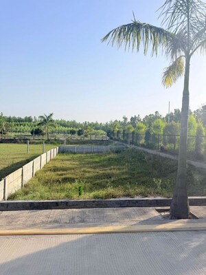 Plot Area in  Plot at Biharigarh – for Sale