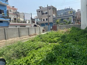  Plot For Sale in Dalanwala