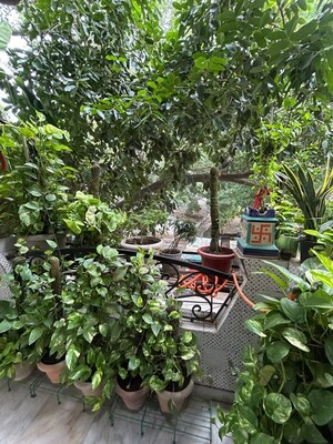 3 BHK Builder Floor – Garden View at Chittaranjan Park - for Rent