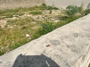 Plot Area in  Plot at Panchsheel Colony – for Sale