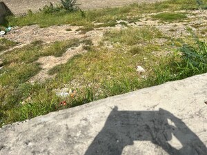 Plot Area in  Plot at Panchsheel Colony – for Sale