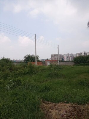 Plot Area in  Plot at Nagla – for Sale