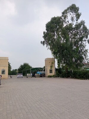  Plot – Exterior View View at Nagla - for Sale