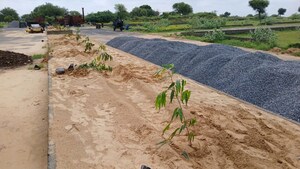 Plot Area in  Plot at Chirawa – for Sale