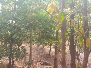  Plot – Garden View at Raigad - for Sale