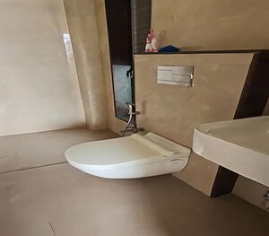 Bathroom in 2 BHK Apartment at Hindu Colony – for Rent