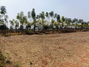  Plot For Sale in Nagasandra