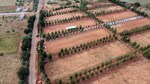 1200 Sq.Ft. Plot in Gauribidanur