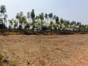  Plot For Sale in Jalahalli