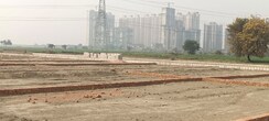Plot For Sale in Sector 150