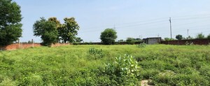 Plot Area in  Industrial Plot at Dhaulana – for Sale