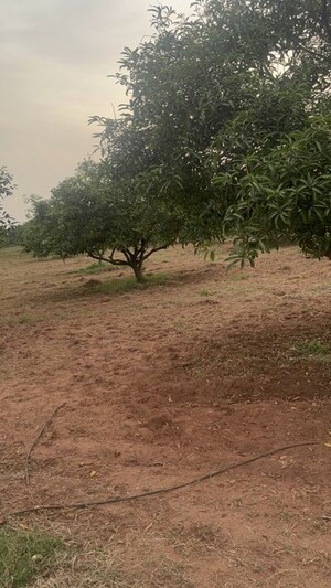 Plot Area in  Plot at Vijayawada One Town – for Sale