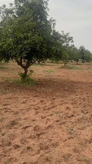 Plot Area in  Plot at Vijayawada One Town – for Sale